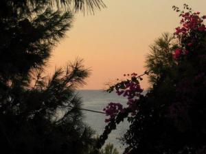 Aegina, Saronic Gulf, Greece