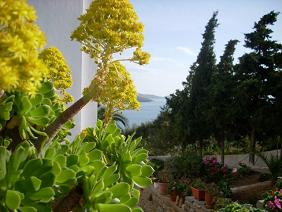 Blue Dolphin Hotel in Batsi, Andros