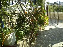 Galini Pension