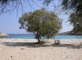 Places to stay on Schinoussa