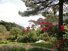 Anna Pension, Liapades, Corfu