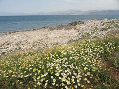 Sights of Corfu, Greece