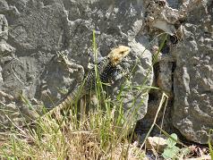 Sights of Corfu, Greece