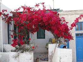 Donoussa, Small Cyclades, Greece