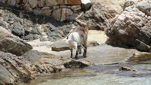 Donoussa, Small Cyclades, Greece
