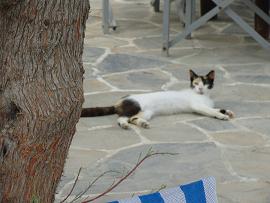 Evangellis Beach Bar at Karavostasis, Folegandros