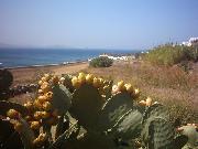 Ornos and Agios Ioannis beaches, Mykonos, Greece