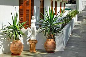Aphrodite Hotel Apartments