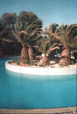 The Kallithea springs and coves, Rhodes