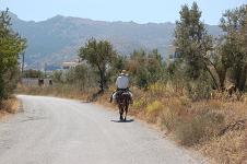 Kos, Dodecanese, Greece