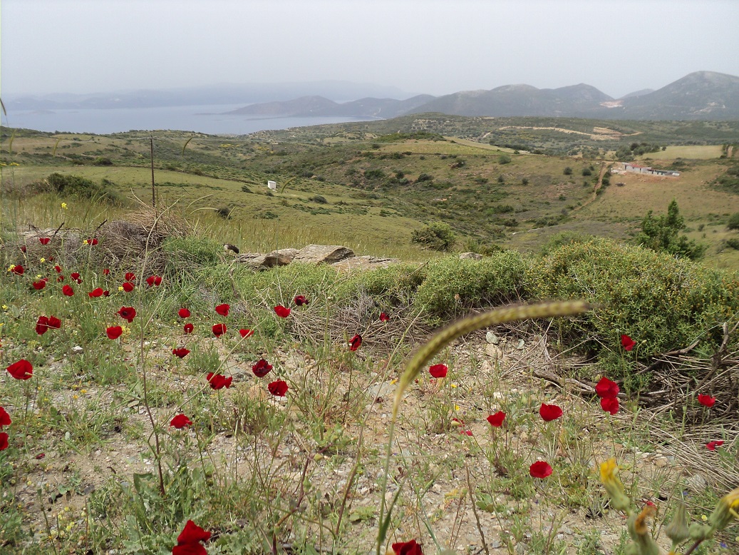 Evia (Euboea), Greece