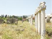 Kos, Dodecanese, Greece