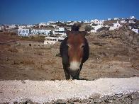 Megali Ammos and Agios Stefanos beaches, Mykonos, Greece