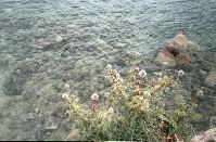Megali Ammos and Agios Stefanos beaches, Mykonos, Greece