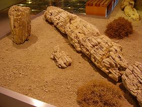 The Sigri museum of the petrified forest