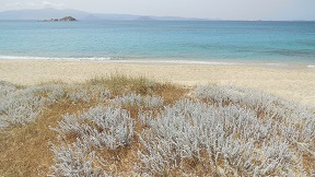 West-coast beaches: Chora to Pyrgaki, Naxos, Greece