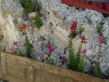 Koumaradei, the herb village of Samos, Greece