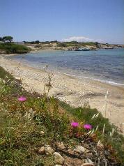 Paros, Cyclades, Greece