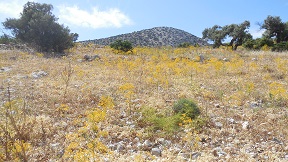 Naxos Town (Chora), Naxos, Cyclades, Greece