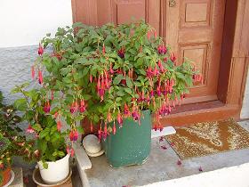 Vourliotes, a mountain village of Samos, Greece