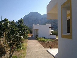 Dream Holiday Homes