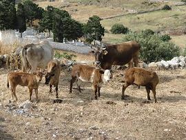 Chora and the Kastro, Kimolos