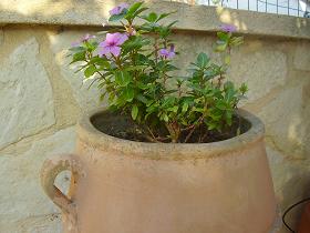 Private villas in the Apokoronas, Chania region, Crete, Greece