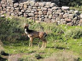 Limnos, the North Aegean, Greece