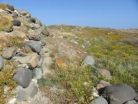The ancient town of Phylakopi, Milos