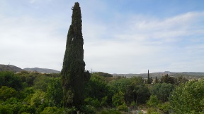 Gennadi beach in the south-east of Rhodes
