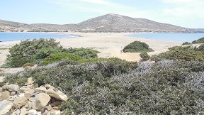 The Prasonisi sand spit at the south tip of Rhodes