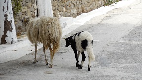 Mesanagros village in the south of Rhodes