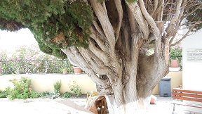 Apolakkia village in the south-west of Rhodes