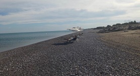 Faliraki beach, east coast of Rhodes
