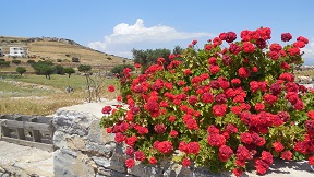 Schinoussa, Small Cyclades, Greece