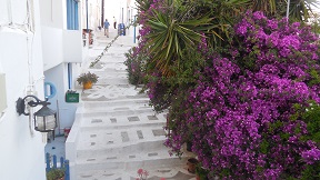 Schinoussa, Small Cyclades, Greece