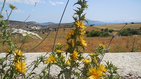 Schinoussa, Small Cyclades, Greece