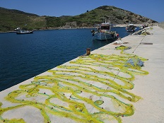 Achilli bay next to Aspous, Skyros
