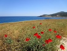 Skyros, the Sporades, Greece
